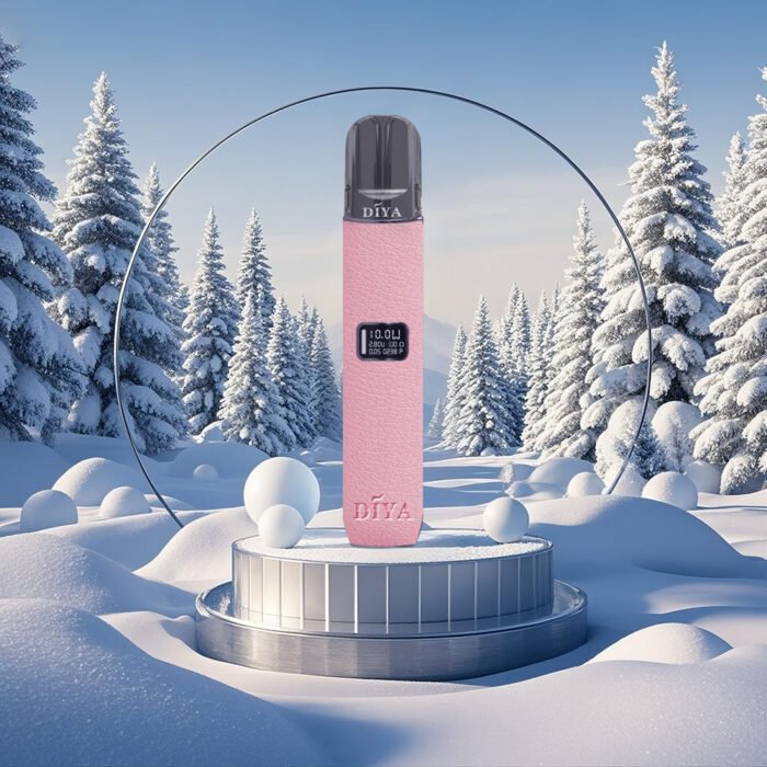 DIYA 叮啞 一代主機皮革：圖片 2