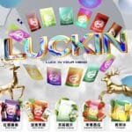 幸運 LUCKIN 煙彈 霧化彈 單顆裝 通配悅刻 Relx 主機一代 實拍