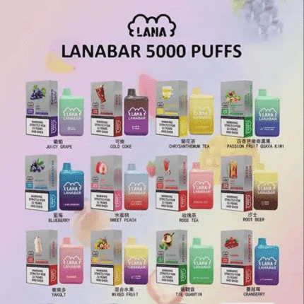 LANA拋棄式5000口電子煙 一次性電子煙 台灣現貨 24h出貨 可充電